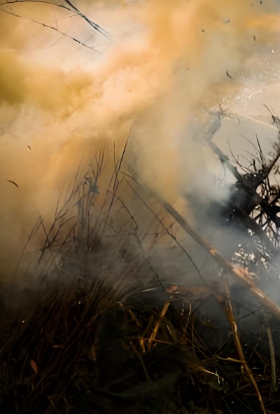 YJ/T37-2025 地方森林草原消防队伍火灾扑救训练大纲