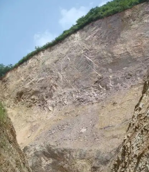 DB42/T2433-2025 露天开采矿山高陡岩质边坡生态修复工程设计标准