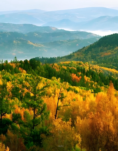 YJ/T34-2025 地方森林草原消防队伍评价规范