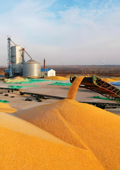 DB37/T6007-2025 粮食流通行业企业安全生产风险分级管控体系建设规范