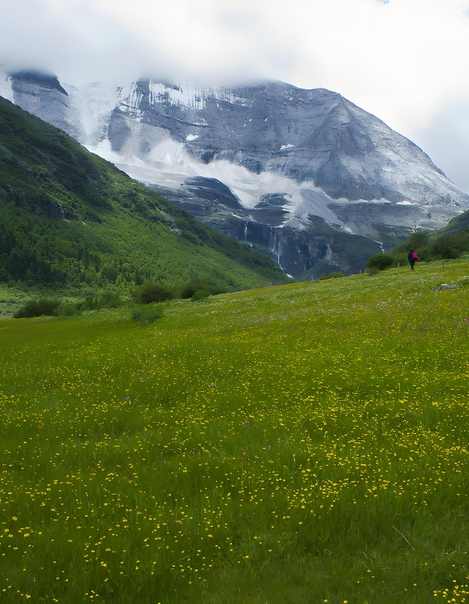 DB51/T3317-2025 高寒草地生态修复碳汇核算技术规范