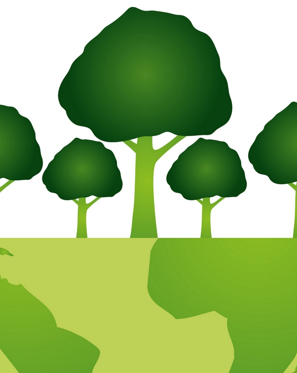 DB41/T2988-2025 工业企业低碳建设指南