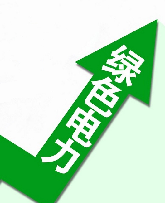 NB/T11898-2025 绿色电力消费评价技术规范