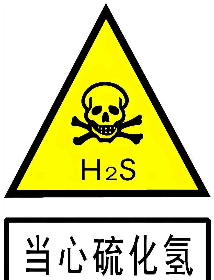 GB46995-2025 含硫化氢天然气井安全防护规范