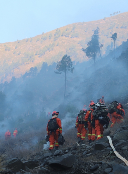 DB21/T4361-2025 森林消防综合救援队伍训练规范