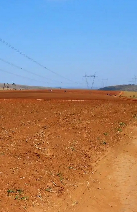 DB42/T2507-2026 受污染耕地安全利用项目实施规范