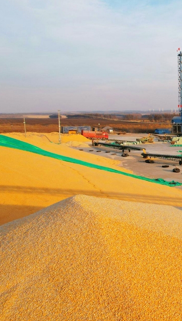 DB37/T6008-2025 粮食流通行业企业生产安全事故隐患排查治理体系建设规范