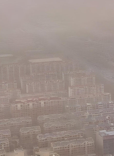 HJ1438-2026 环境空气 颗粒物（PM2.5）自动监测系统（热学-光学校正法）有机碳和元素碳技术要求及检测方法