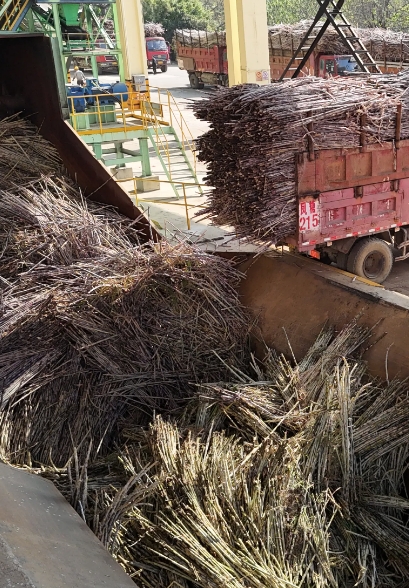 DB45/T2995-2025 蔗糖企业消防安全管理规范