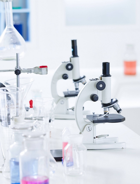 DB50/T1923-2025 高校实验室安全评估导则