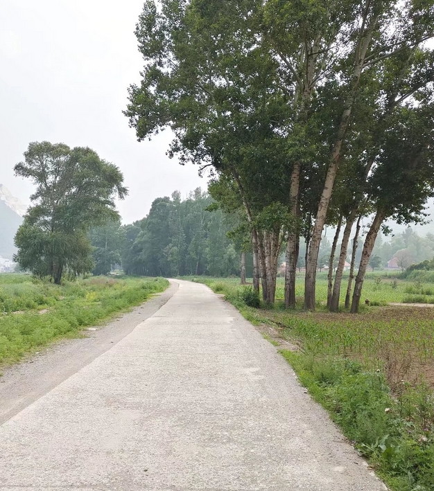 DB37/T4985-2025 农村公路交通安全设施设置规范