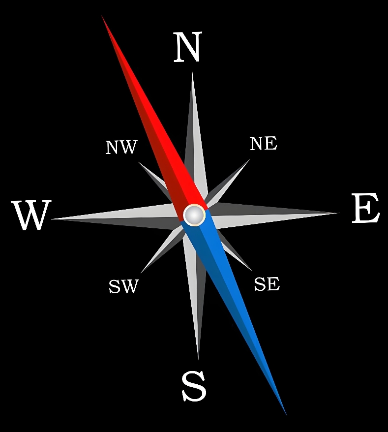 DB31/T1659-2025 企业标准化总监管理工作指南