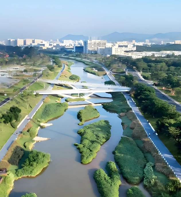 DB50/T1896-2025 建设项目占用湿地、湿地公园生态影响评价专题报告编制规范