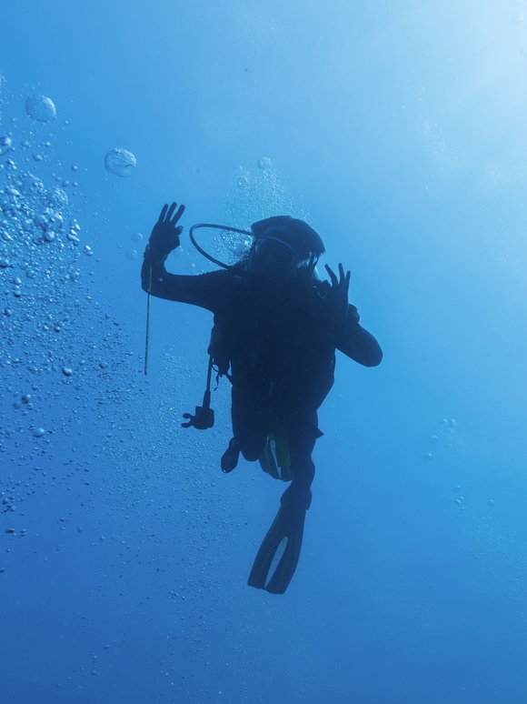 DB32/T5356-2026 消防潜水救援规范