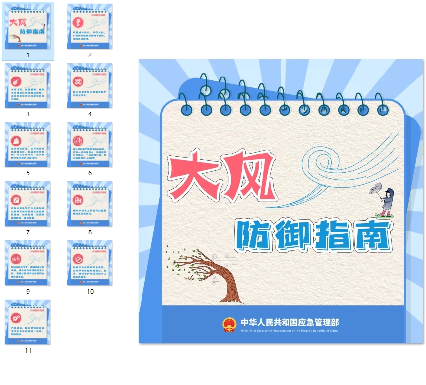 大风防御指南