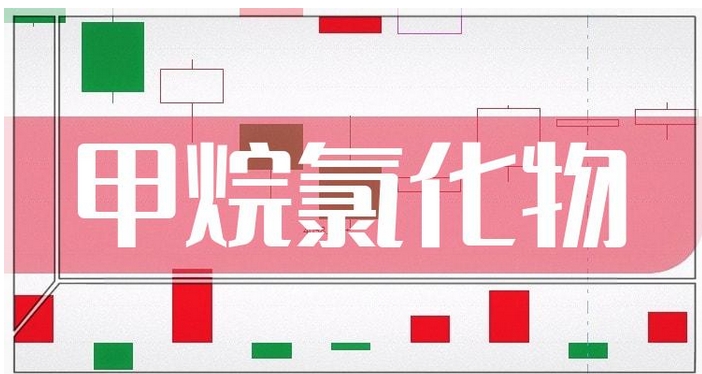 甲烷氯化物行业两体系建设实施指南
