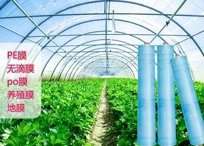 NY/T 1224-2006 农用塑料薄膜安全使用控制技术规范
