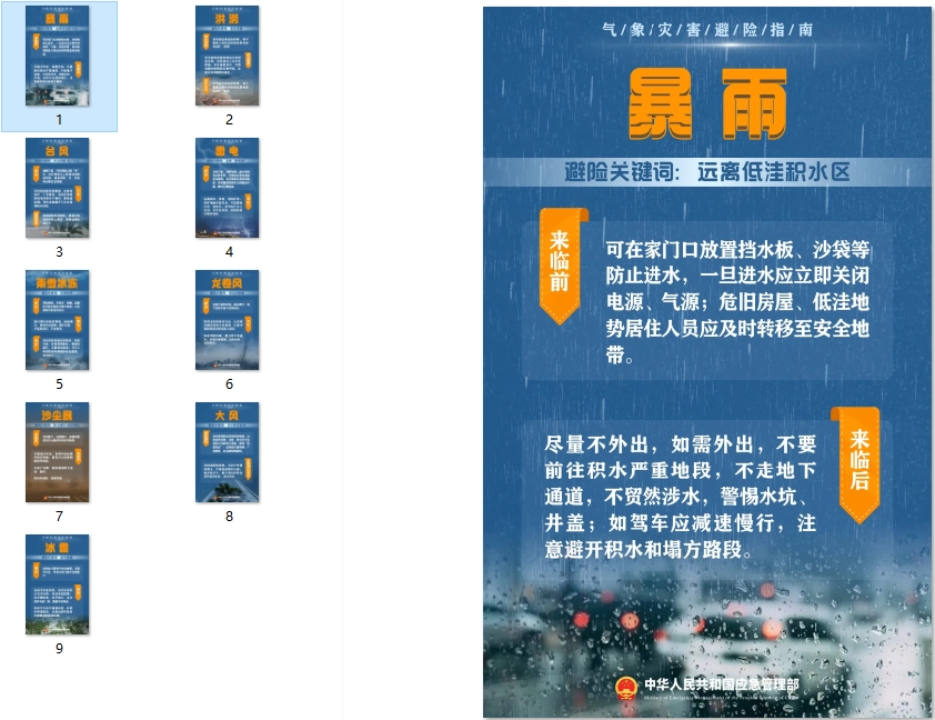 引发森林火灾可能承担什么法律责任？