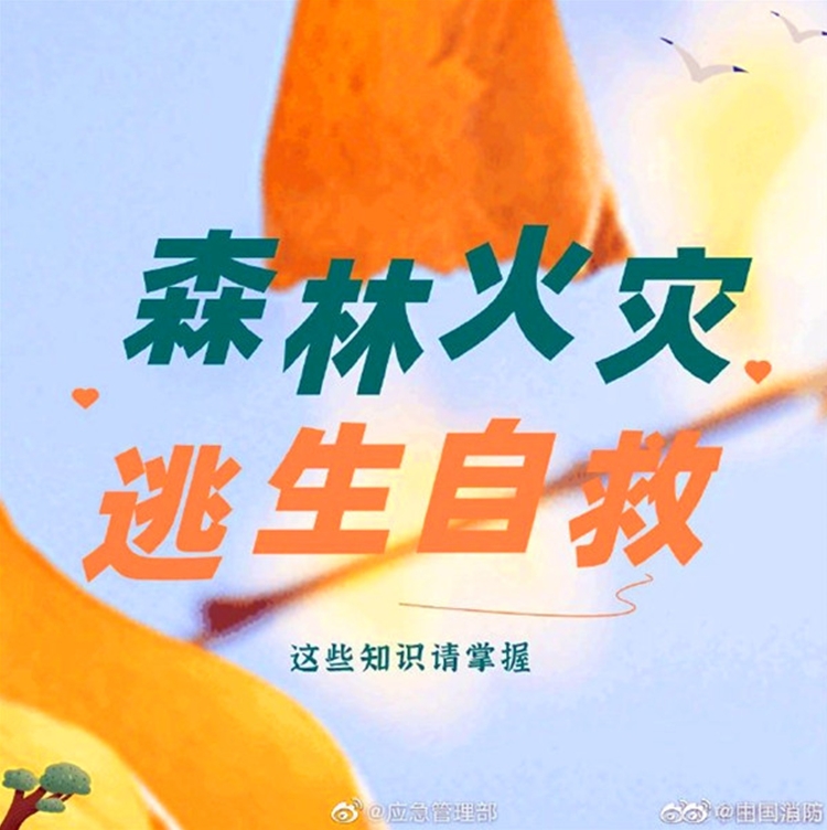 森林火灾逃生自救知识