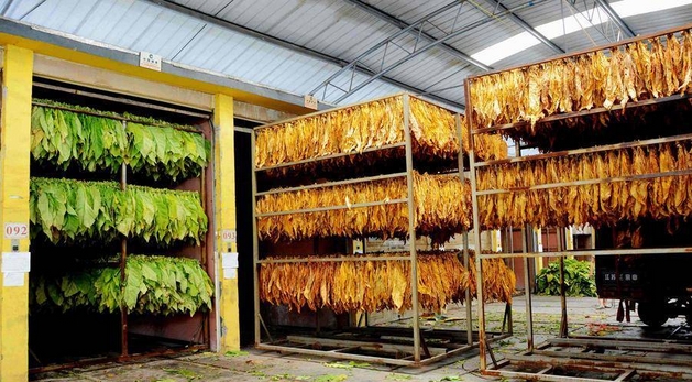 烟草企业安全生产明白卡