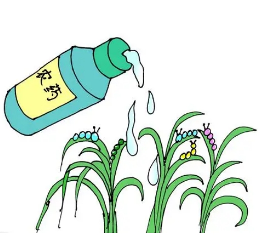 DB50/T867.68-2024 安全生产技术规范 第68部分：农药制造企业