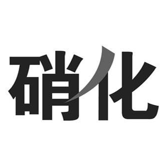 高危细分领域安全风险防控长效机制：2.硝化企业安全风险隐患排查指南（PDF）