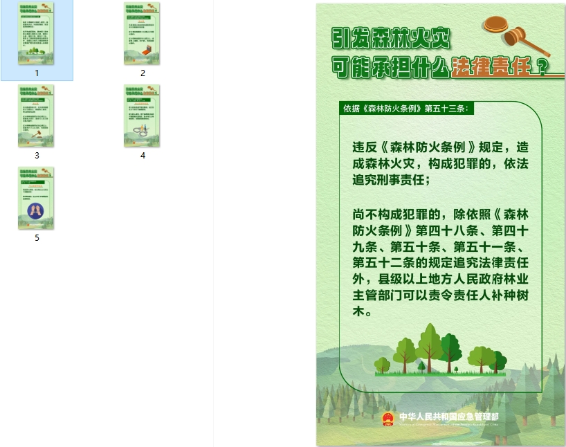 引发森林火灾可能承担什么法律责任？