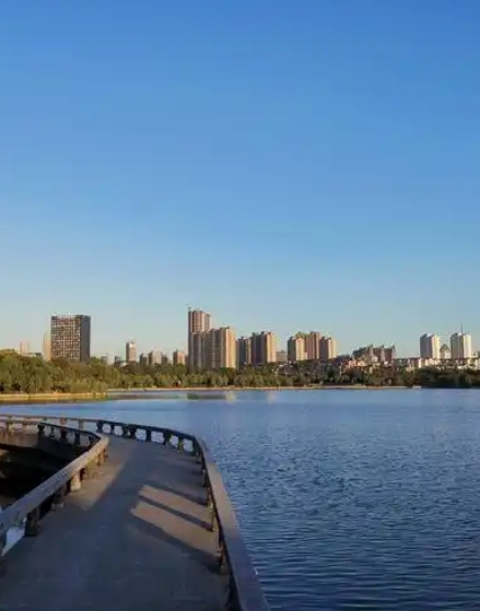 DBJ/T15-183-2020 城市景观湖泊水生态修复及运维技术规程