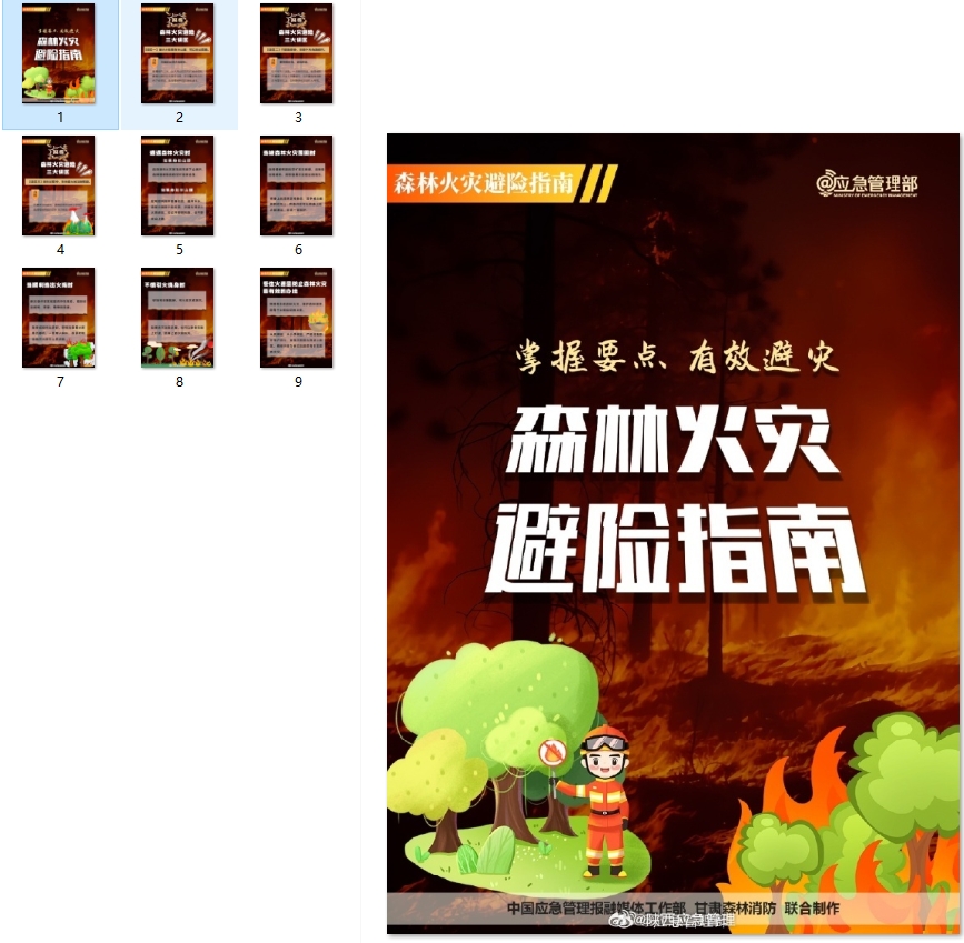 森林火灾避险指南