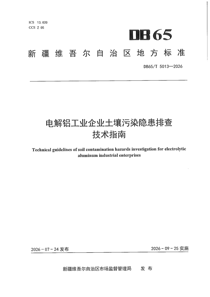 DB65/T5013-2026 电解铝工业企业土壤污染隐患排查技术指南