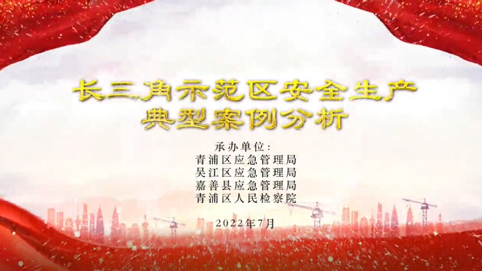 长三角示范区安全生产典型案例分析