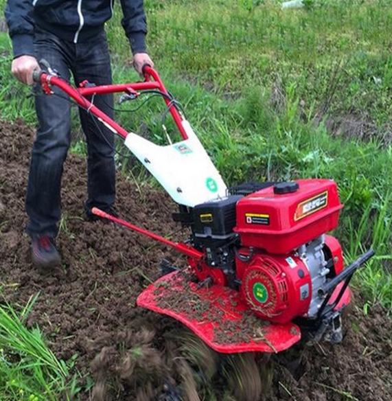DB11/T 1572-2022 微耕机安全运行技术规范