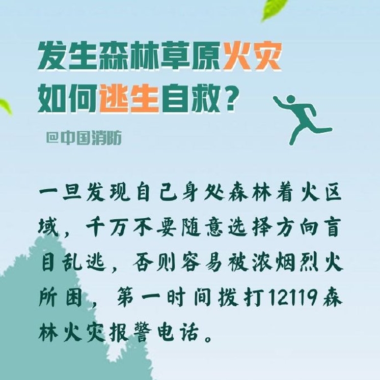发生森林草原火灾如何逃生自救