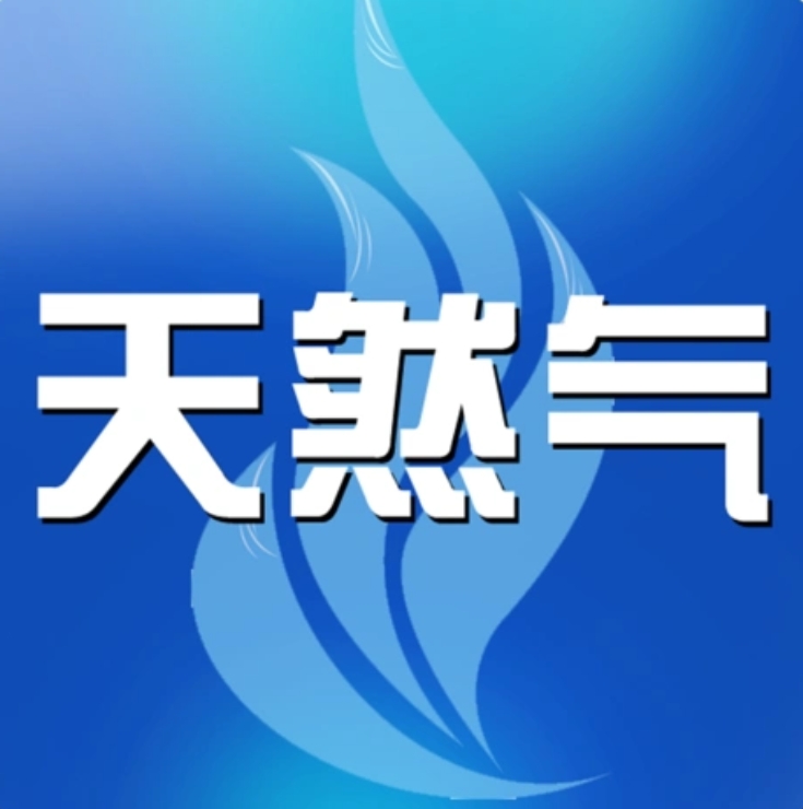 燃气安全隐患排查导则-天然气（试行）