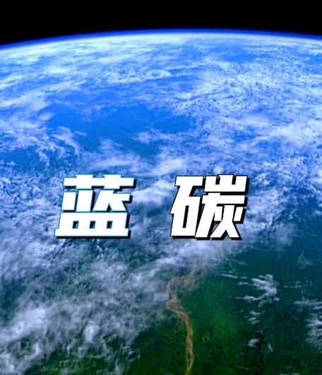DB44/T2607.1-2025 滨海蓝碳碳汇能力调查与核算技术指南 第1部分：通则